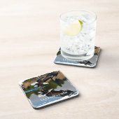 Yellowstone Eagle Beverage Coaster Bier Onderzetter (Rechterzijde)