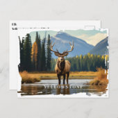 Yellowstone Elk Briefkaart (Voorkant / Achterkant)