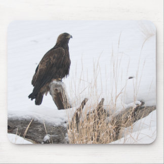 Yellowstone Golden Eagle Muismat