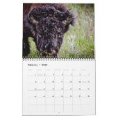 Yellowstone & Grand Teton National Parks 2012 Kalender (Feb 2026)