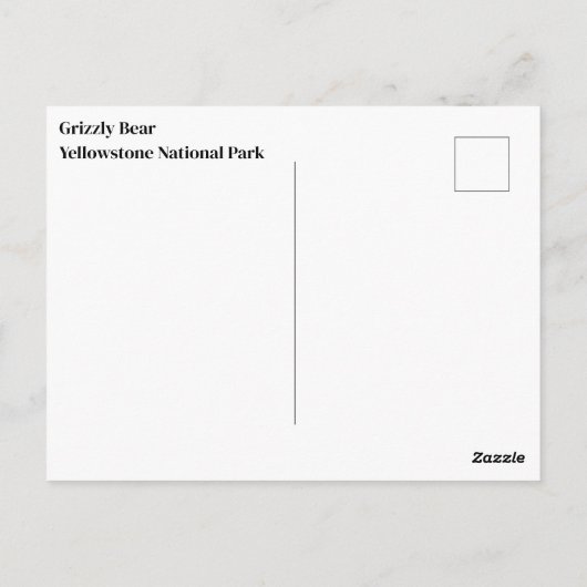 Yellowstone Grizzly Beer Briefkaart (Achterkant)