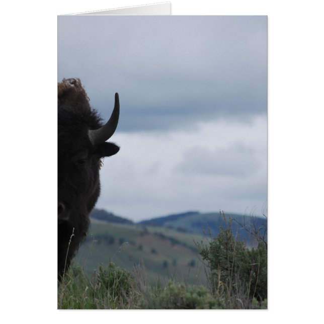 Yellowstone Guardian (Devant)