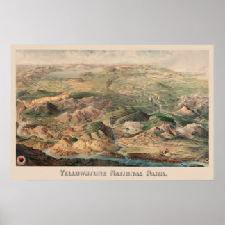 Yellowstone Illustration Poster