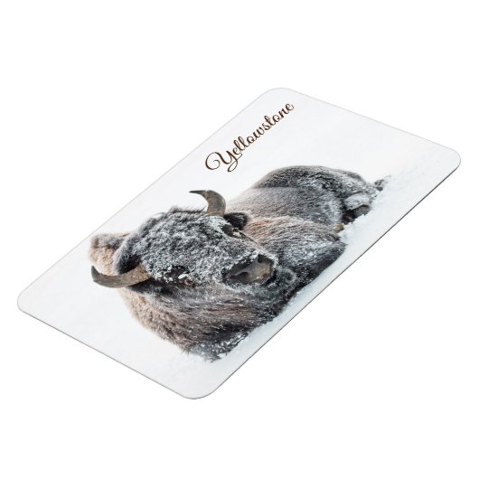 Yellowstone Magnet-Buffalo Magneet (Linkerzijde)