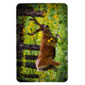 Yellowstone Magnet-Deer Magneet (Verticaal)