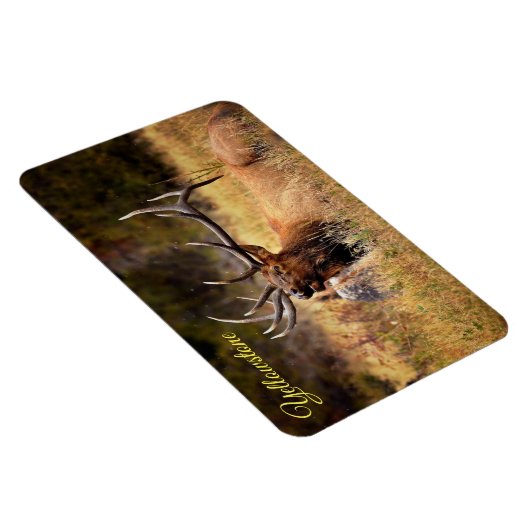 Yellowstone Magnet-Elk Magneet (Rechterzijde)