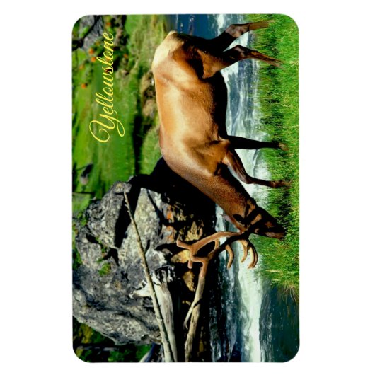 Yellowstone Magnet-Elk Magneet (Verticaal)