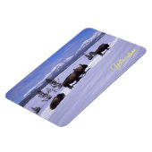 Yellowstone Magnet Magneet (Linkerzijde)