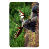 Yellowstone Magnet-Moose Magneet (Verticaal)