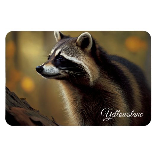 Yellowstone Magnet-Raccoon Magneet (Horizontaal)