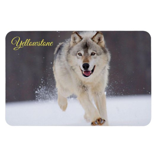 Yellowstone Magnet-Wolf Magneet (Horizontaal)