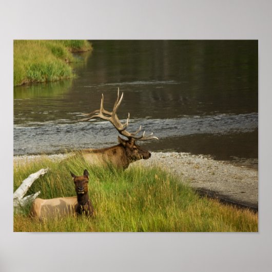 Yellowstone Mates Print (Voorkant)