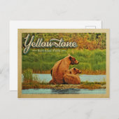 Yellowstone National Park Beren  Briefkaart (Voorkant / Achterkant)