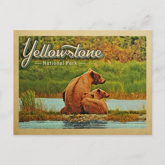Yellowstone National Park Beren  Briefkaart (Voorkant)