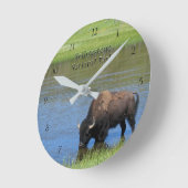 Yellowstone National Park Bison in Pond Ronde Klok (Hoek)