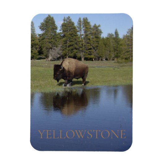 Yellowstone National Park Bison Magneet (Verticaal)