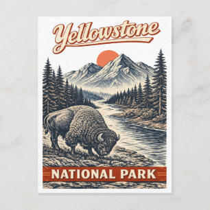 Yellowstone National Park - Bizon Briefkaart