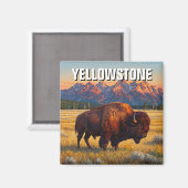 Yellowstone National Park bizon Magneet (Voorkant / Achterkant)