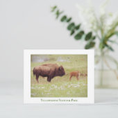 Yellowstone National Park-kaart met bizon en kalf Briefkaart (Staand voorkant)