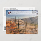Yellowstone National Park - Mammoth Hot Springs Briefkaart (Voorkant / Achterkant)