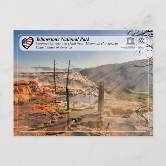 Yellowstone National Park - Mammoth Hot Springs Briefkaart (Voorkant)