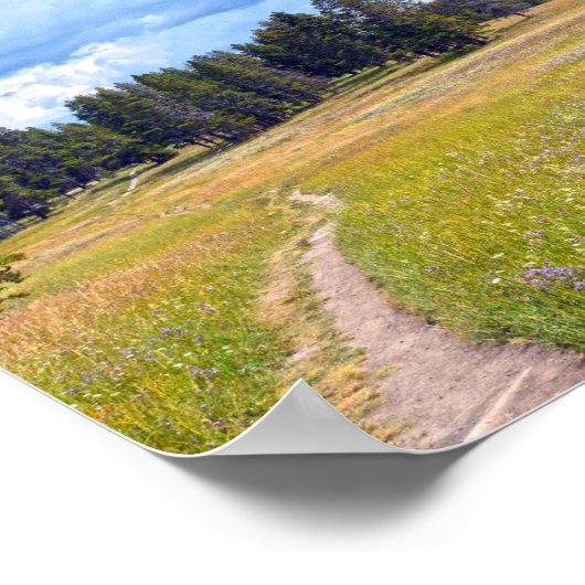 Yellowstone National Park Meadow Trail Poster (Hoek)