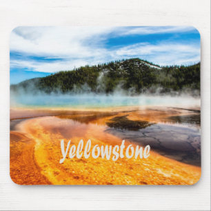 Yellowstone National Park Mountains Natuur Animals Muismat