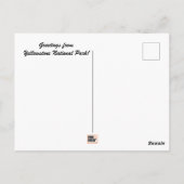 Yellowstone National Park, Oud Trouw Briefkaart (Achterkant)