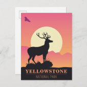  Yellowstone National Park Sunset Briefkaart (Voorkant / Achterkant)