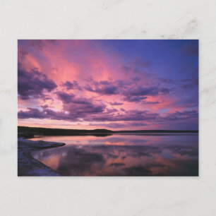 Yellowstone National Park, Wyoming. Verenigde Stat Briefkaart