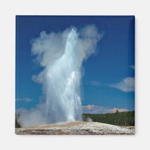 Yellowstone Old Faithful Landscape Foto Magneet