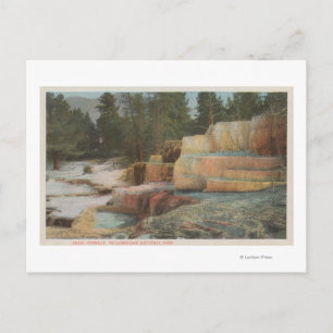 Yellowstone, overzicht van Angel Terrace Briefkaart