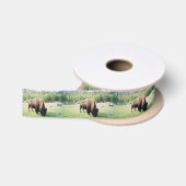 Yellowstone Park Bison Lint (Spoel)