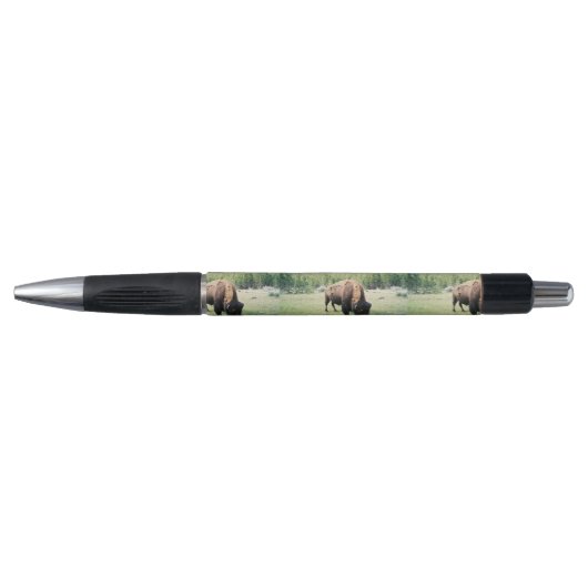Yellowstone Park Bison Pen (Voorkant)
