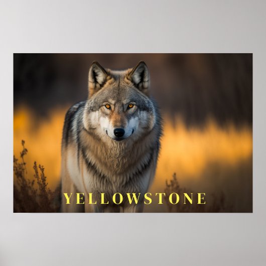 Yellowstone Poster Art (Voorkant)