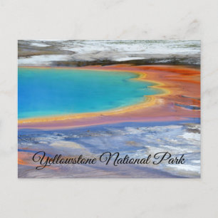 Yellowstone Prismatic Spring Carte postale Wyoming