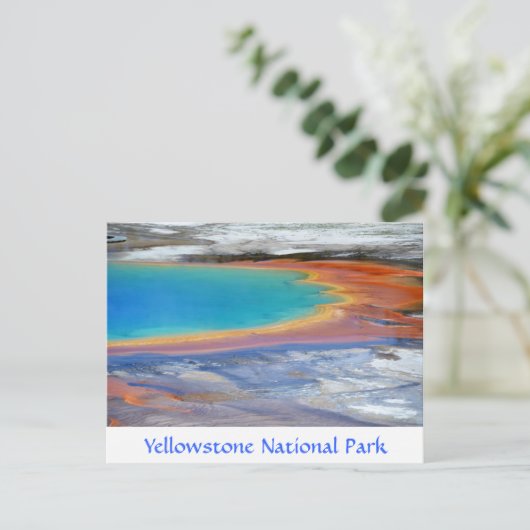 Yellowstone Prismatic Spring Carte postale Wyoming (Debout devant)