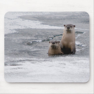 Yellowstone River Otters Muismat
