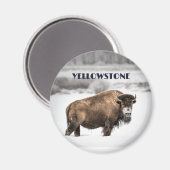 Yellowstone Snowstone Buffalo Souvenir Magnet (Recto/Verso)