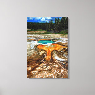 Yellowstone Thermal Pool Canvas Afdruk