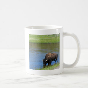 Yellowstone Wilde Buffalo in Pond Koffiemok