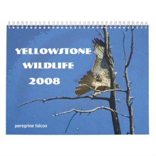 Yellowstone Wildlife 2008 Agenda Kalender