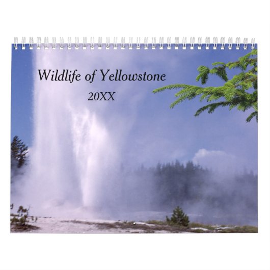 Yellowstone Wildlife Calendar Kalender (Hoes)