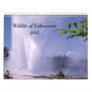 Yellowstone Wildlife Calendar Kalender