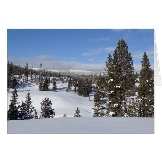 Yellowstone Winter Landscape Foto (Voorkant Horizontaal)