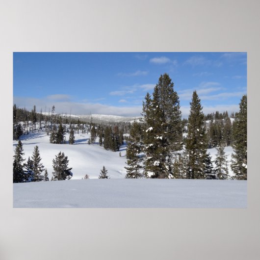 Yellowstone Winter Landscape Foto Poster (Voorkant)