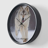 Yellowstone Wolf (Hoek)