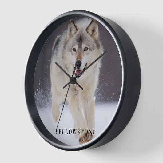 Yellowstone Wolf (Hoek)