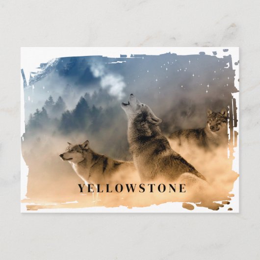 Yellowstone Wolf Briefkaart (Voorkant)