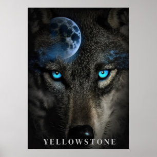 Yellowstone Wolf Poster Kunst